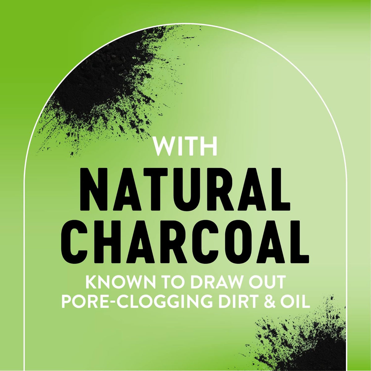 Biore Deep Pore Charcoal Face Wash Daily Facial Cleanser